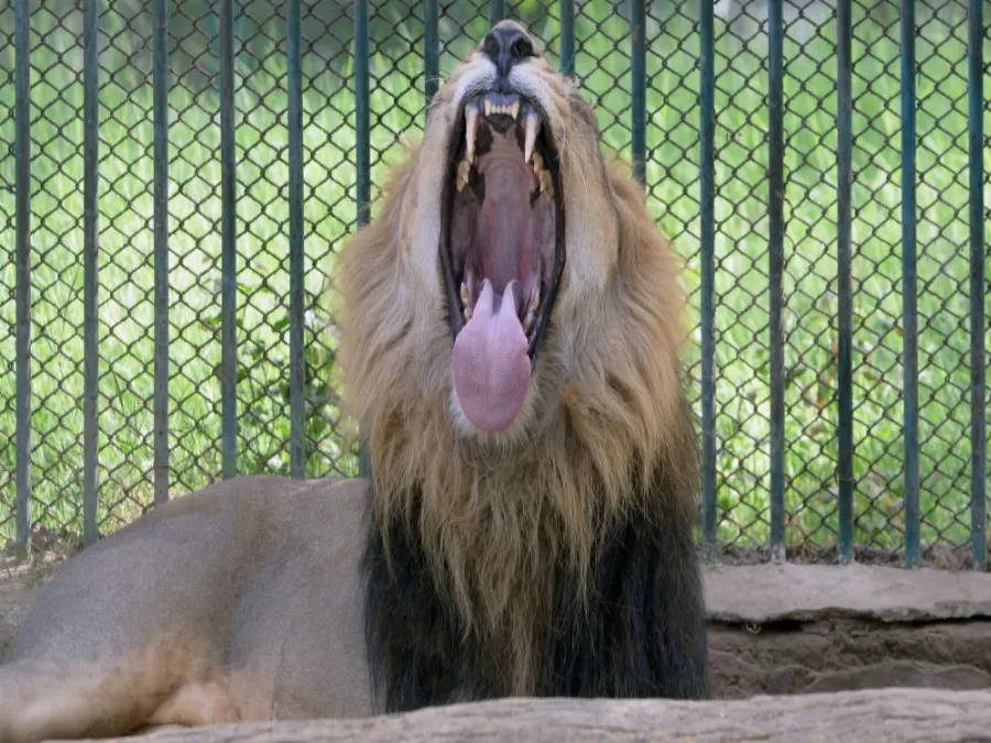 مدار الساعة,أخبار خفيفة ومنوعة