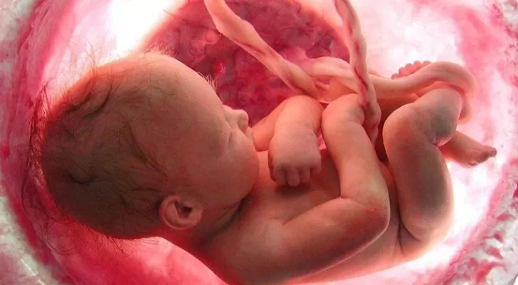 مدار الساعة,أخبار خفيفة ومنوعة