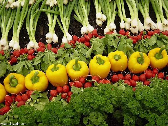 مدار الساعة,أخبار الأردن,اخبار الاردن,وكالة الأنباء الأردنية,مواقع التواصل الاجتماعي