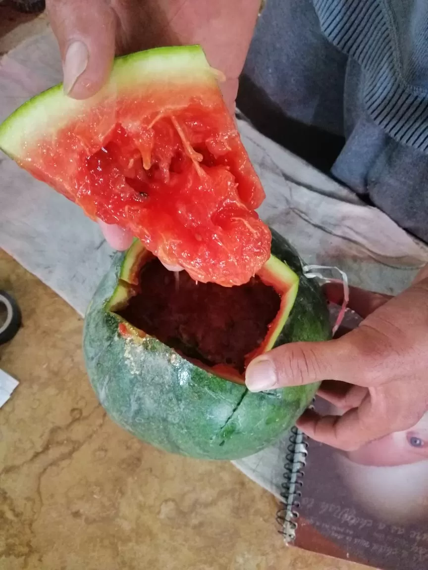 مدار الساعة,أخبار الأردن,اخبار الاردن,بلدية الزرقاء