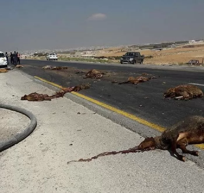 مدار الساعة,أخبار الأردن,اخبار الاردن,الدفاع المدني