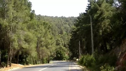 مدار الساعة,أخبار الأردن,اخبار الاردن,وزير الزراعة,وزارة الزراعة,مواقع التواصل الاجتماعي