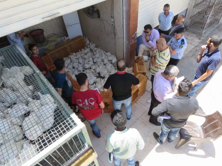 مدار الساعة,أخبار الأردن,اخبار الاردن