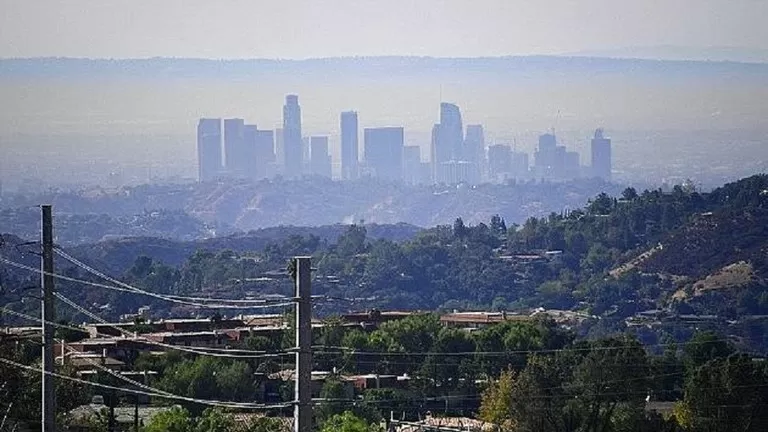 مدار الساعة,أخبار خفيفة ومنوعة