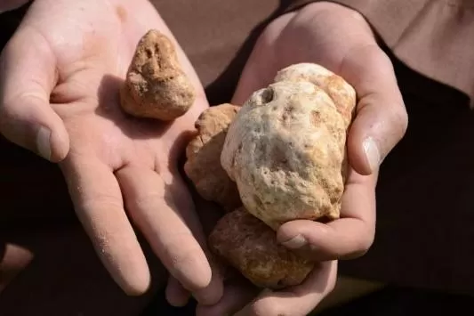 مدار الساعة,أخبار خفيفة ومنوعة