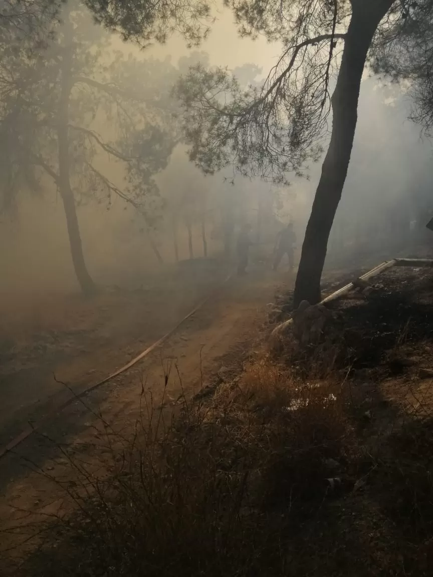 مدار الساعة,أخبار الأردن,اخبار الاردن,الدفاع المدني