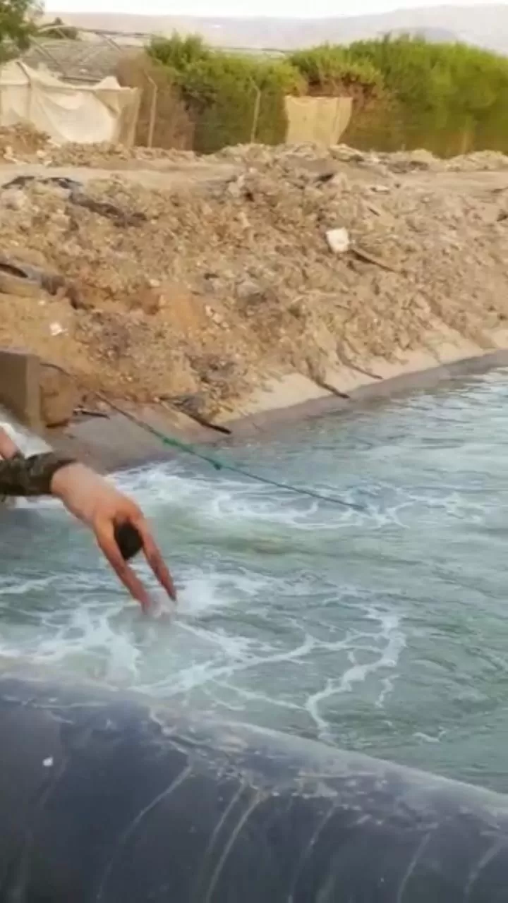 مدار الساعة,أخبار الأردن,اخبار الاردن,الملك عبد الله الثاني,عيد الفطر