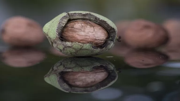 مدار الساعة,أخبار خفيفة ومنوعة