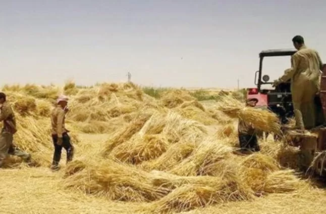 مدار الساعة,أخبار الأردن,اخبار الاردن,الدفاع المدني,درجات الحرارة
