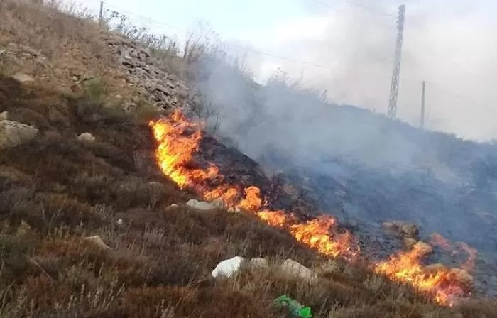 مدار الساعة,أخبار الأردن,اخبار الاردن,الدفاع المدني