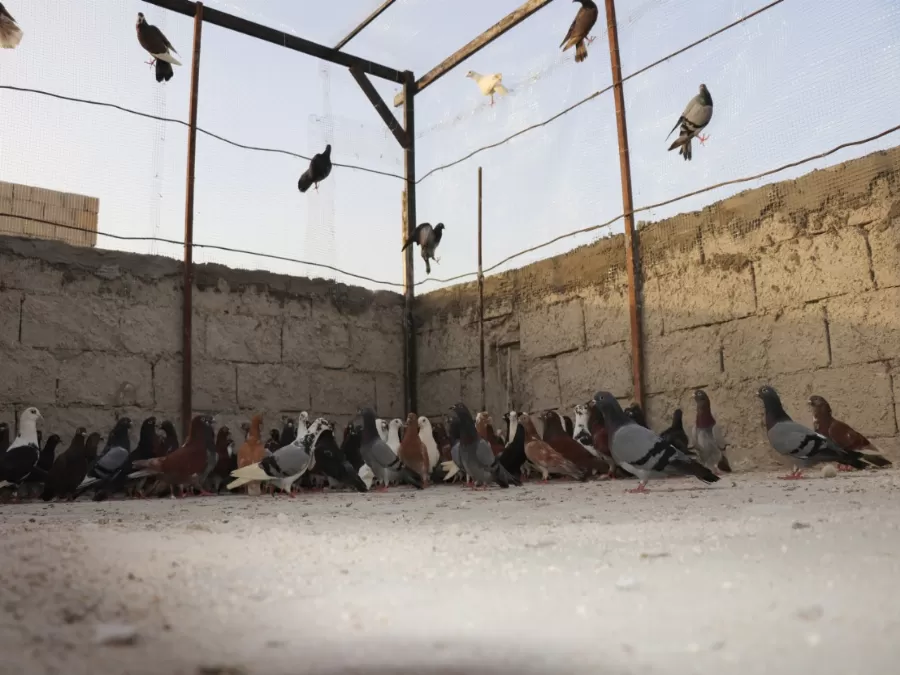 مدار الساعة,أخبار المجتمع الأردني