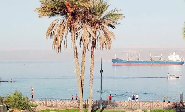 مدار الساعة,أخبار الأردن,اخبار الاردن,الملك عبدالله الثاني,عيد الجلوس