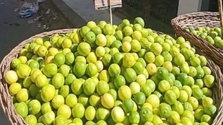 مدار الساعة,أخبار اقتصادية,وزارة الزراعة