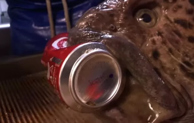 مدار الساعة,Video,فيديو,أخبار خفيفة ومنوعة