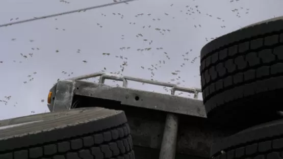 مدار الساعة,Video,فيديو,أخبار خفيفة ومنوعة