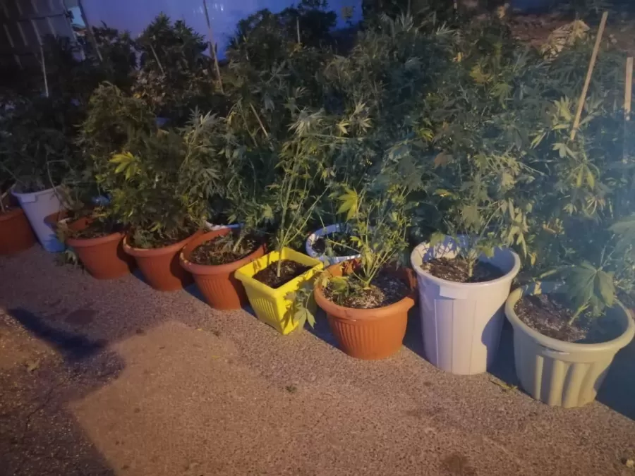 مدار الساعة,أخبار الأردن,اخبار الاردن