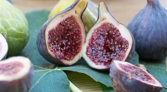 مدار الساعة,أخبار خفيفة ومنوعة