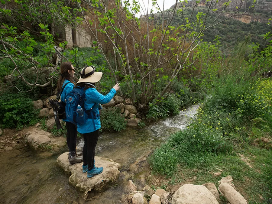 مدار الساعة,أخبار الأردن,اخبار الاردن