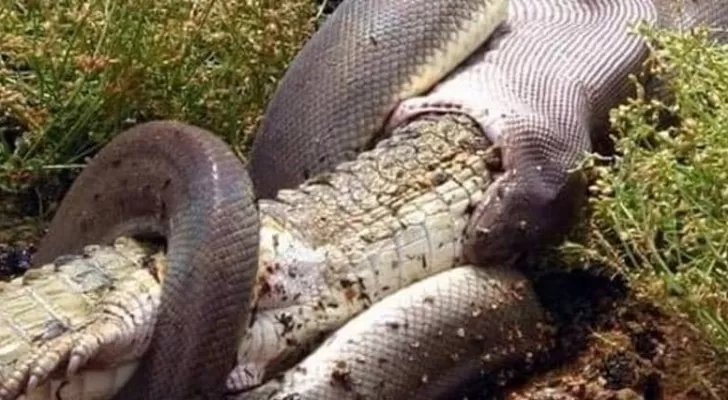 مدار الساعة,أخبار خفيفة ومنوعة