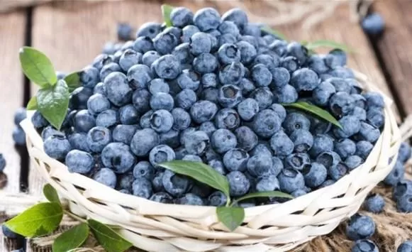 مدار الساعة,أخبار خفيفة ومنوعة