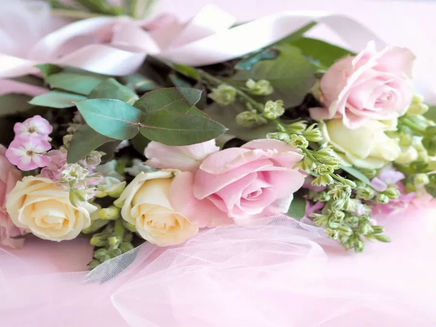 مدار الساعة,أخبار المجتمع الأردني