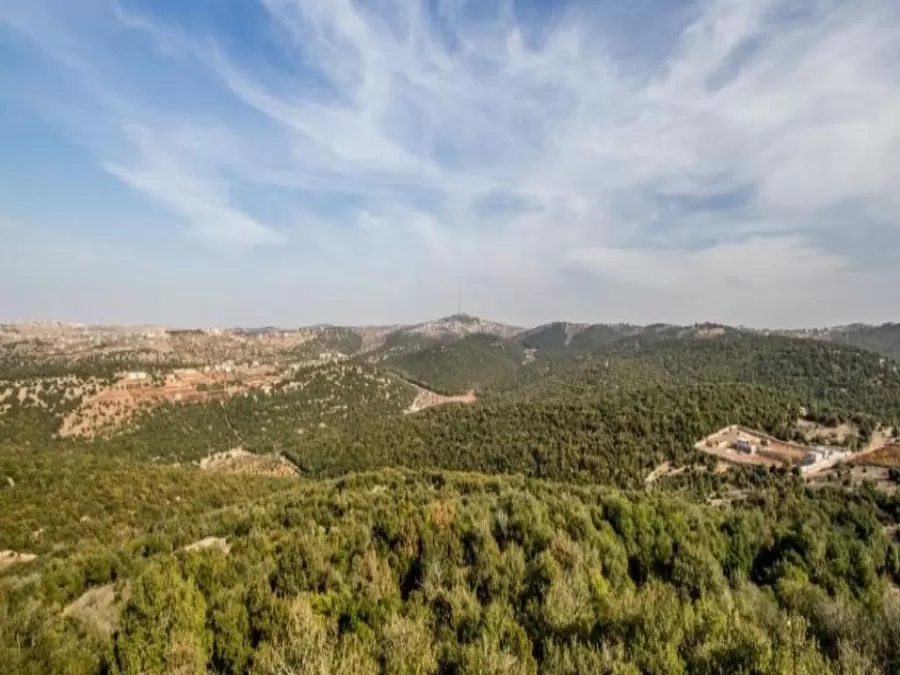 مدار الساعة,أخبار الأردن,اخبار الاردن