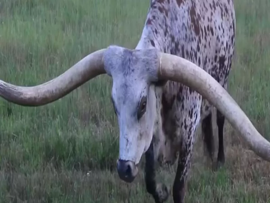 مدار الساعة,أخبار خفيفة ومنوعة