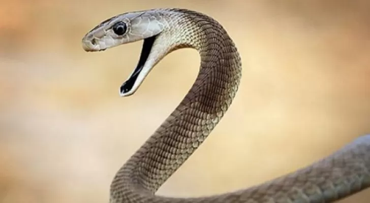 مدار الساعة,أخبار خفيفة ومنوعة,درجات الحرارة