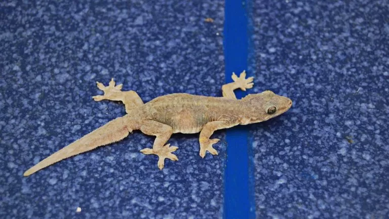 مدار الساعة,أخبار خفيفة ومنوعة