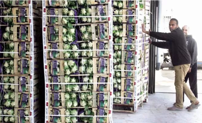 مدار الساعة,أخبار اقتصادية,وزير النقل,وزارة الزراعة,هيئة تنظيم النقل البري