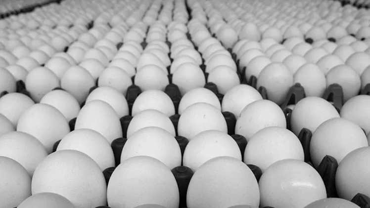 مدار الساعة,أخبار الأردن,اخبار الاردن