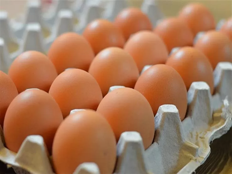 مدار الساعة,أخبار الأردن,اخبار الاردن