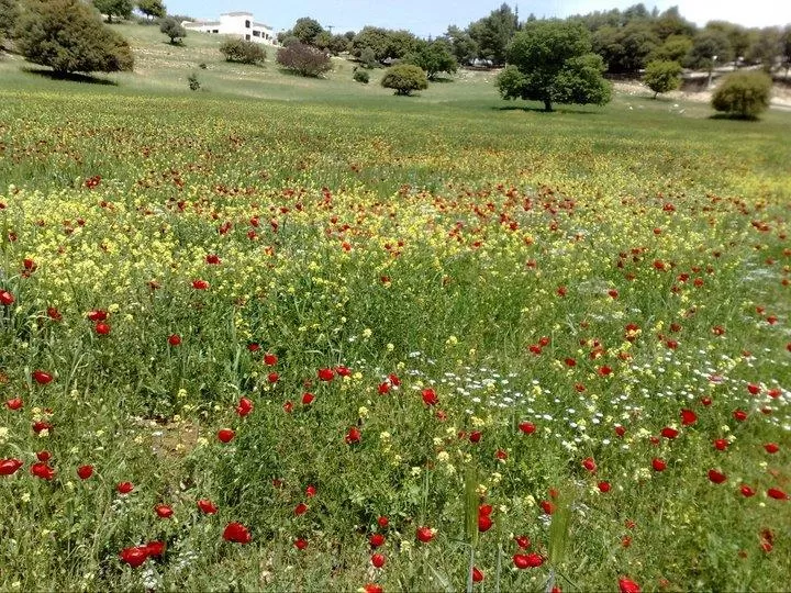 مدار الساعة,الطقس في الأردن اليوم,طقس الأردن,طقس العرب,طقس العرب الاردن,درجات الحرارة