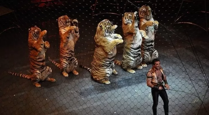 مدار الساعة,أخبار خفيفة ومنوعة