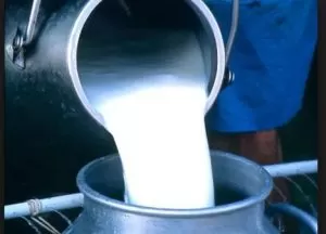 مدار الساعة,أخبار الأردن,اخبار الاردن