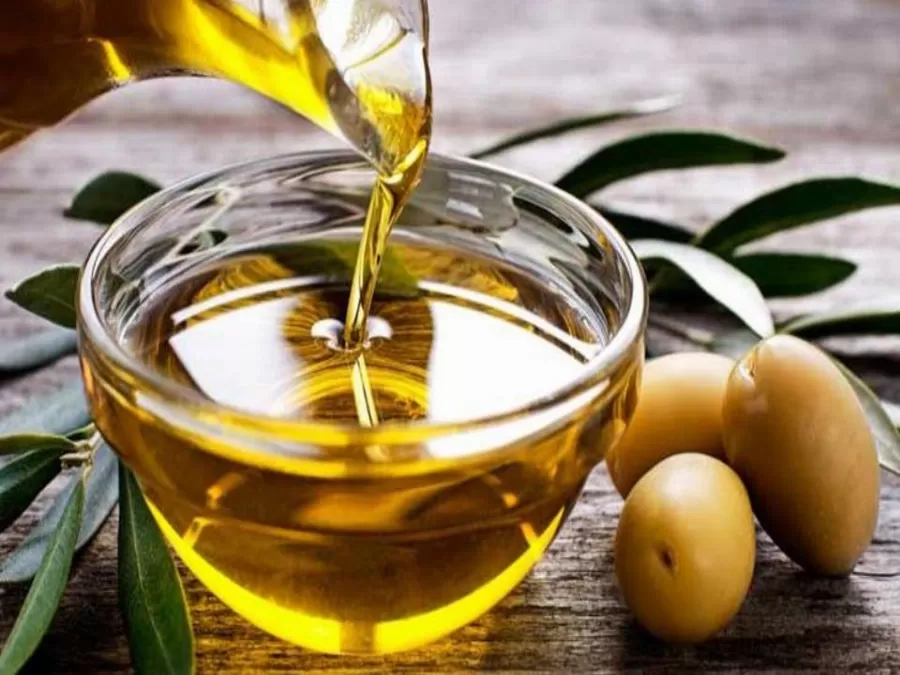 مدار الساعة,أخبار الأردن,اخبار الاردن,وزير الزراعة,وزير البيئة