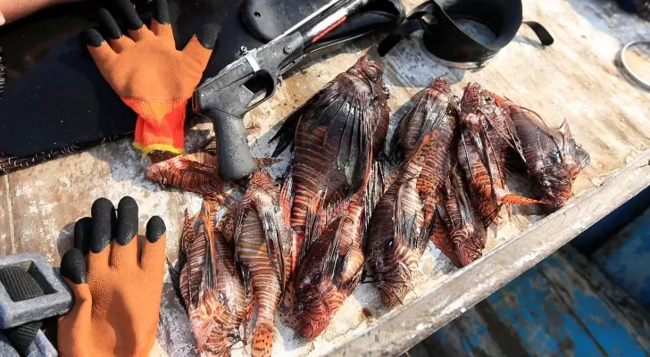 مدار الساعة,أخبار خفيفة ومنوعة