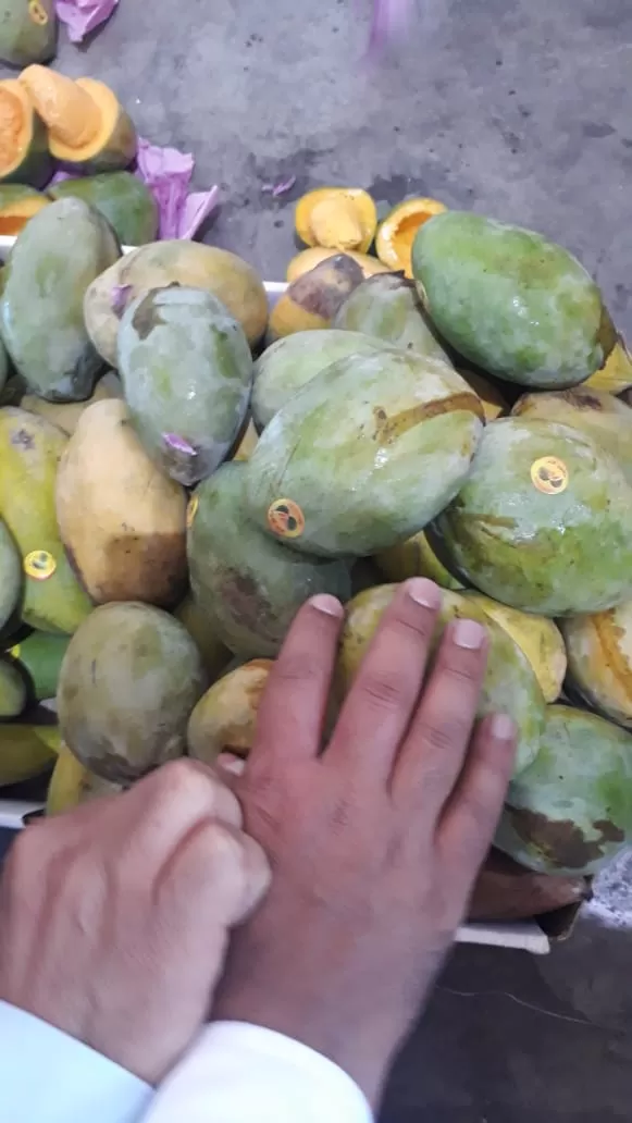 مدار الساعة,أخبار اقتصادية,وزير الزراعة,وزير البيئة,وزارة الزراعة