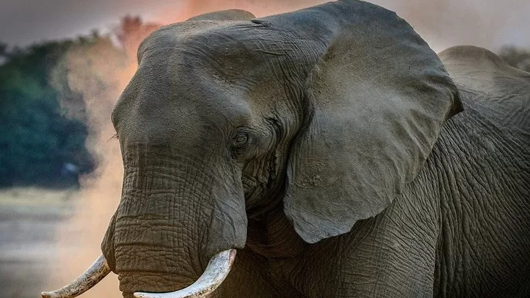 مدار الساعة,أخبار خفيفة ومنوعة