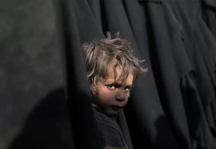 مدار الساعة,أخبار عربية ودولية,وزارة العدل,وزارة الخارجية