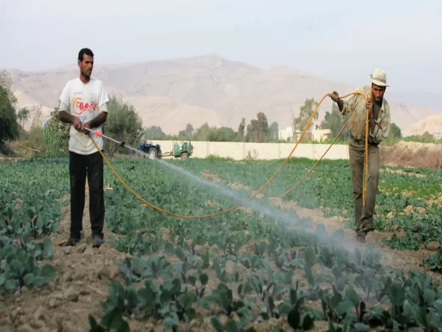 مدار الساعة,أخبار الأردن,اخبار الاردن,وزير المياه والري,وزارة المياه والري,وزارة المياه,الجمعية العلمية الملكية,وزارة البيئة