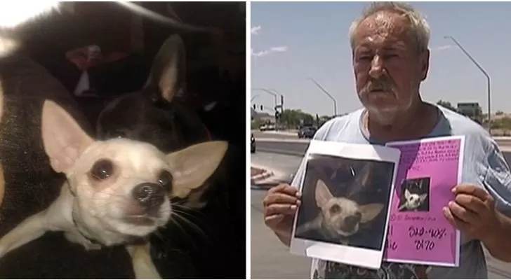 مدار الساعة,أخبار خفيفة ومنوعة