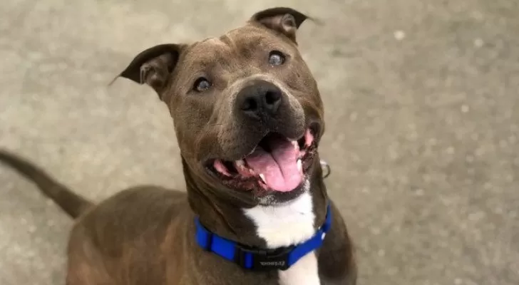 مدار الساعة,أخبار خفيفة ومنوعة,النيابة العامة