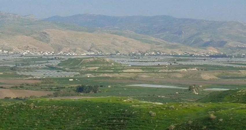 مدار الساعة,أخبار اقتصادية,وزارة الزراعة,وادي الأردن