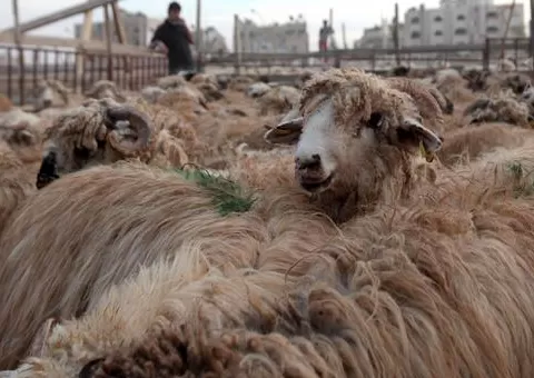 مدار الساعة,شؤون دينية