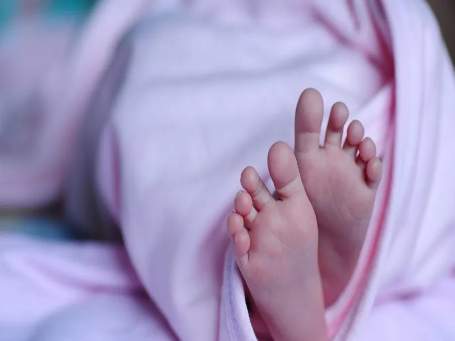مدار الساعة,أخبار الأردن,اخبار الاردن