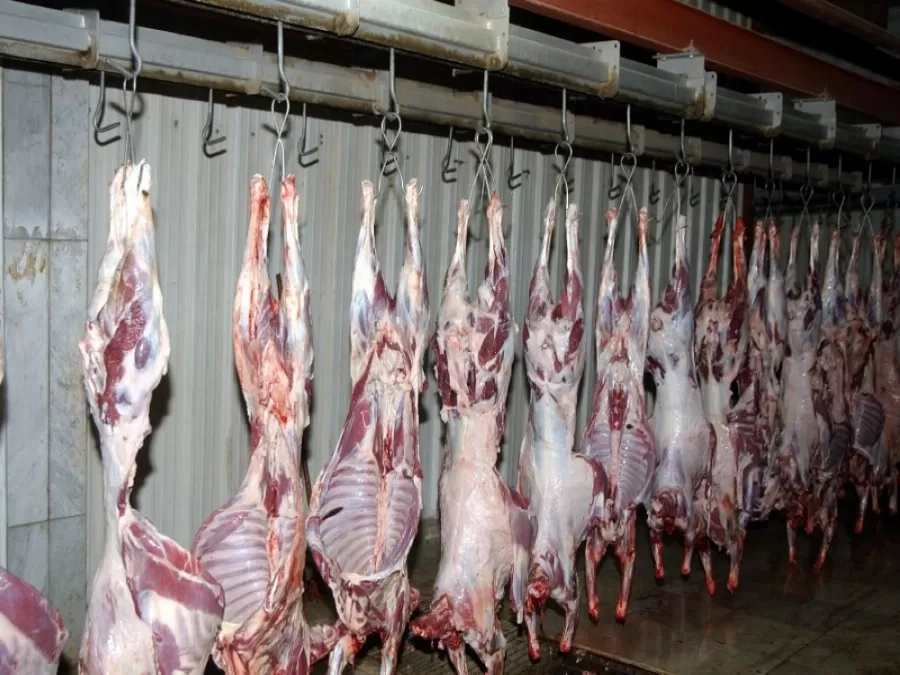 مدار الساعة,أخبار الأردن,اخبار الاردن,أمانة عمان,عيد الأضحى,نقابة الأطباء