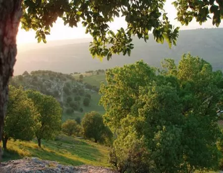 مدار الساعة,أخبار الأردن,اخبار الاردن,درجات الحرارة,البحر الميت