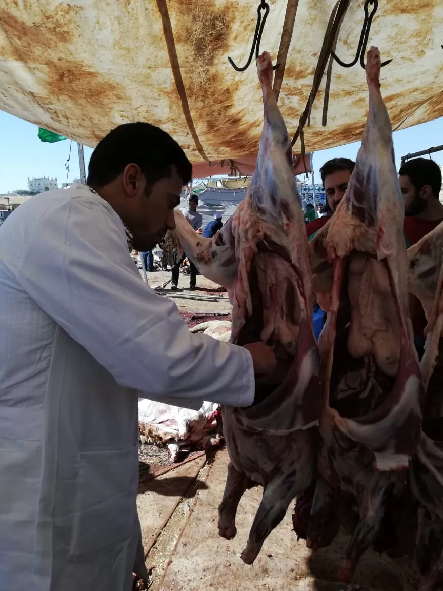 مدار الساعة,أخبار الأردن,اخبار الاردن,أمانة عمان,نقابة الأطباء