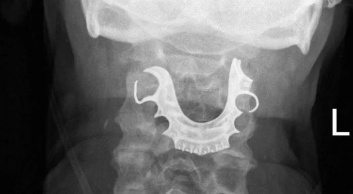 مدار الساعة,أخبار خفيفة ومنوعة